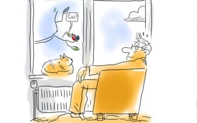 Chat confiné