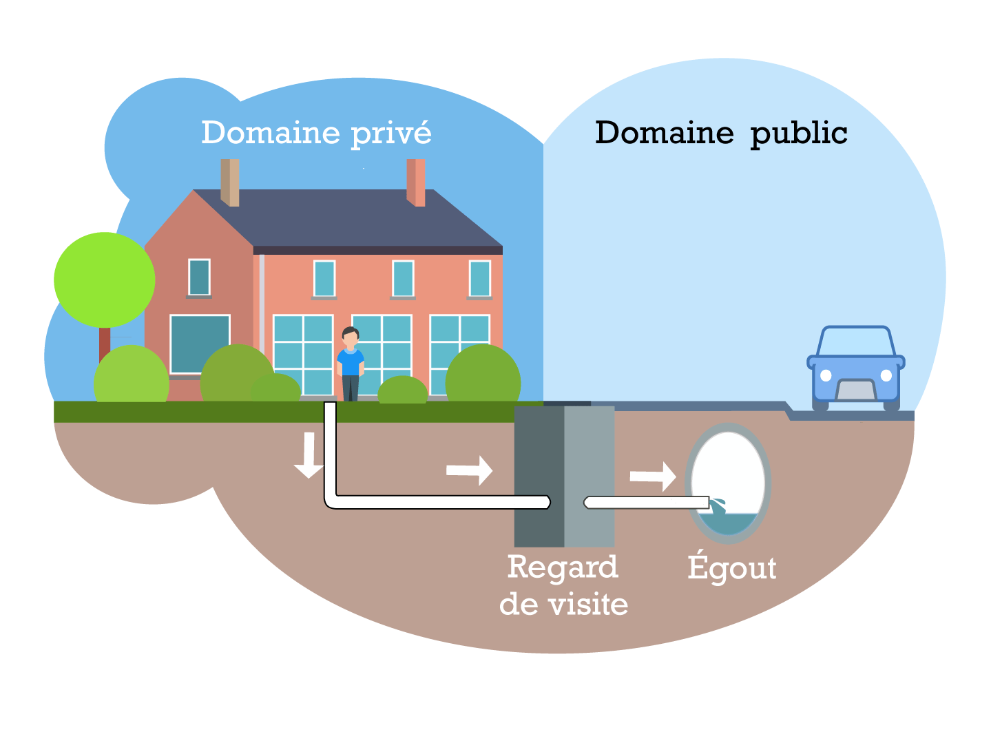 egouttage - raccordement d'une maison individuelle sur le systeme public des egouts en facilitation visuelle - infographie nen Adobe Illustrator
