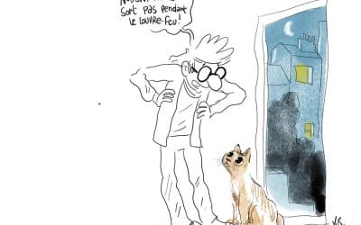 Mon chat et le couvre-feu