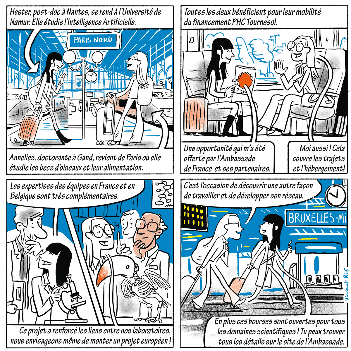 Tournesol-bourse-PHC_belgique Explication d'un financement PHC Tournesol en bande dessinée