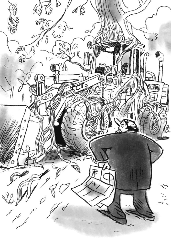 illustration du livre Nature et sortilèges à l’Institut Lemn