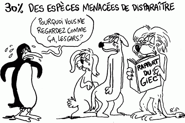 Rapport Giec