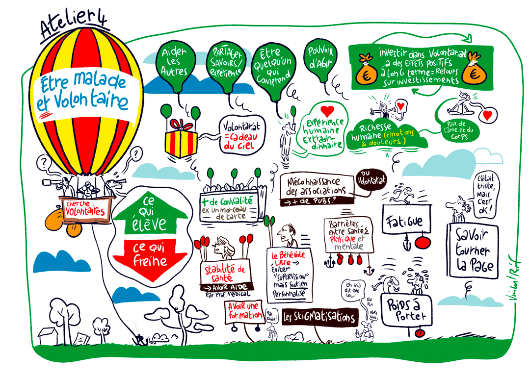 Volontaire et son statut -facilitation visuelle d'une journée d'étude pour la LUSS -iceberg modèle