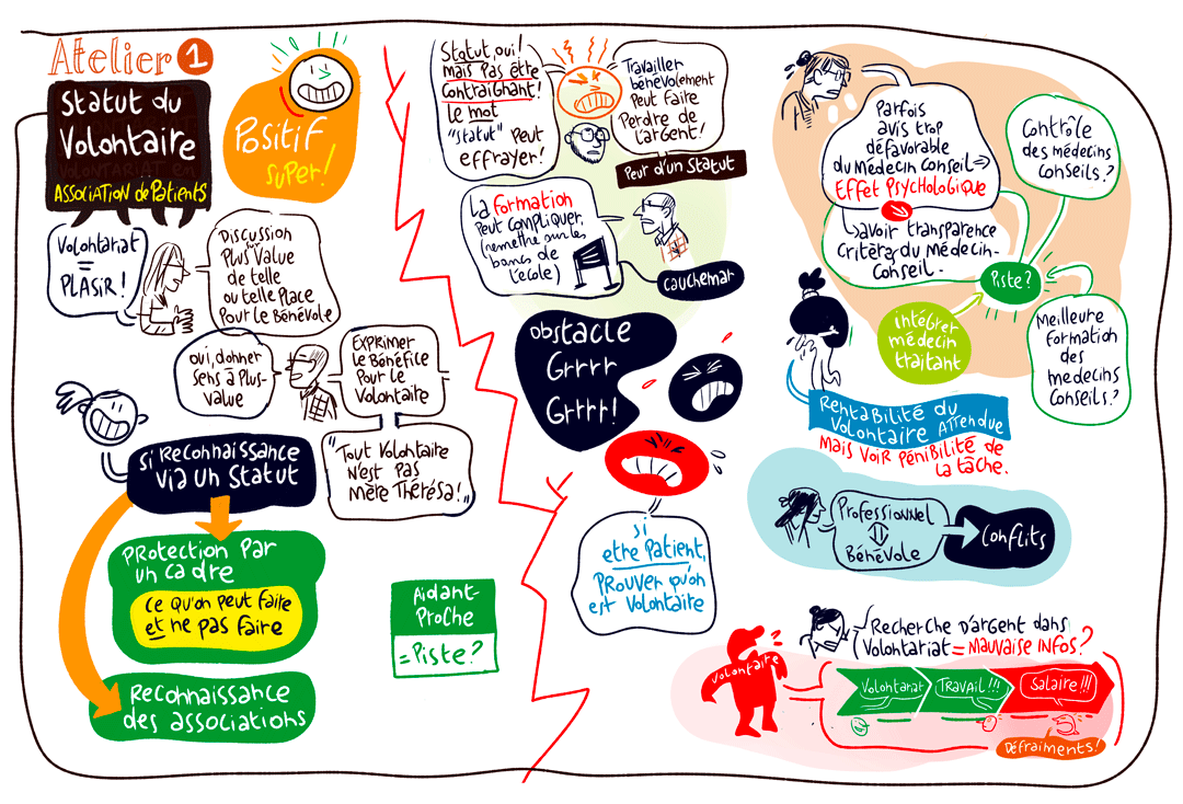 Volontaire et son statut -facilitation visuelle d'une journée d'étude pour la LUSS -malade et maladie en étant volontaire